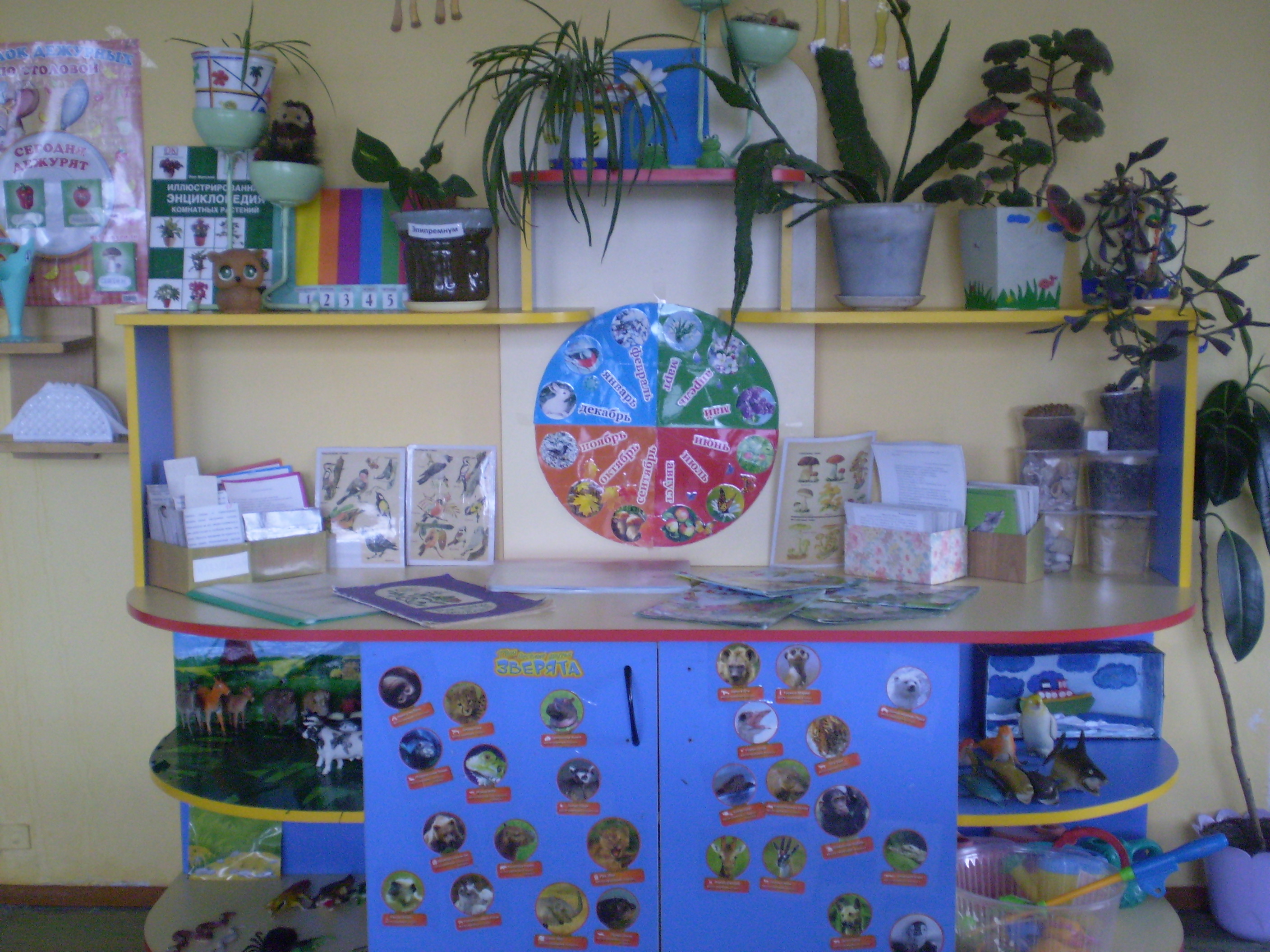 Центр природы в детском саду
